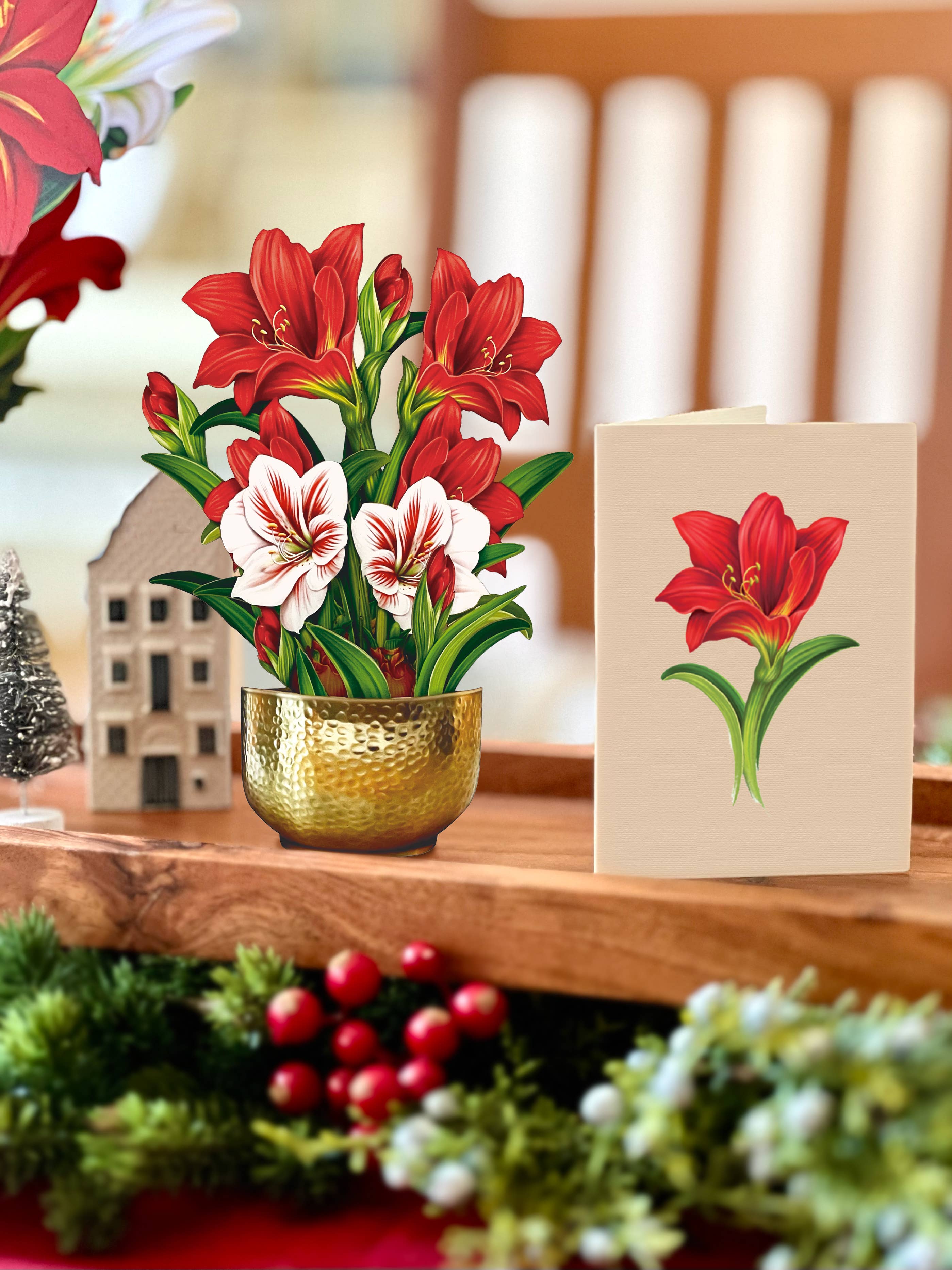 PFB Mini Scarlett Amaryllis