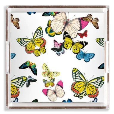 Tray Metamorphosis Lucite