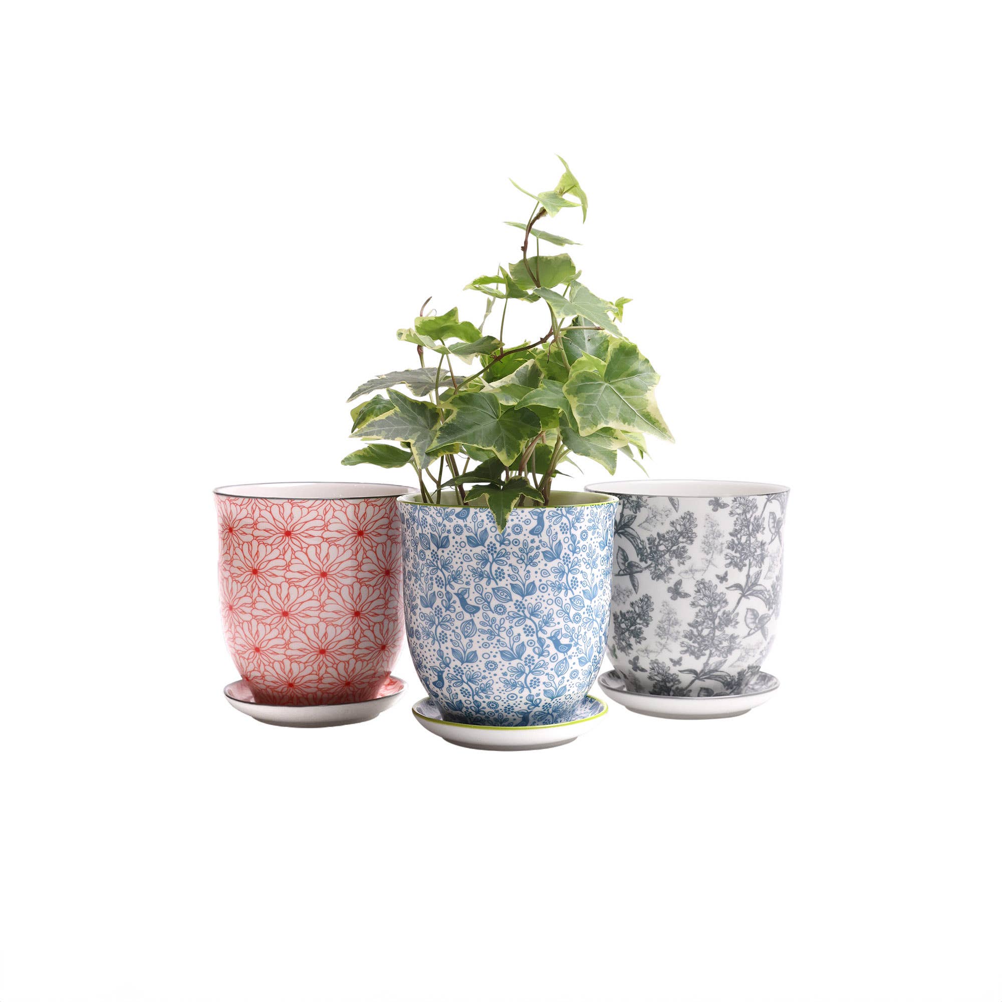 CHIVE  Planter Red Birds Porcelain Liberte / 3.25"