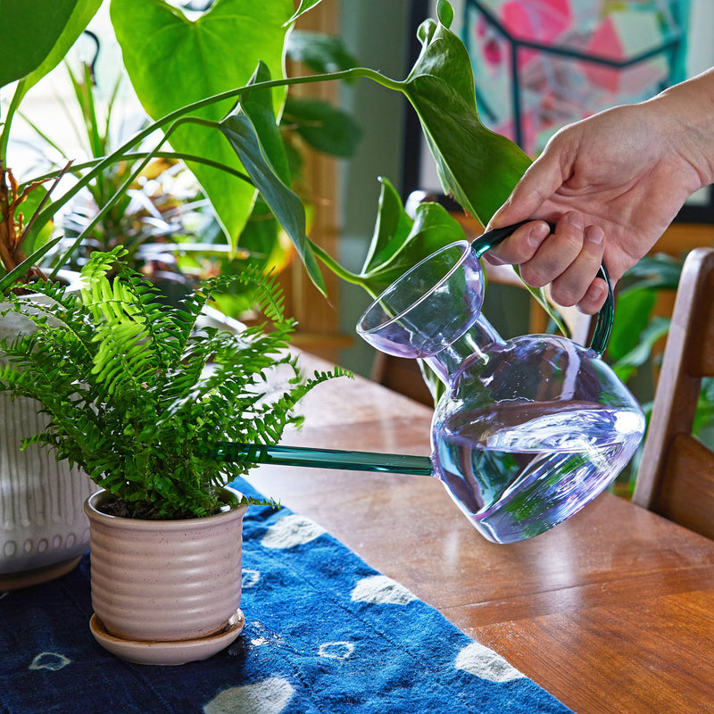 Glass Watering Can (32 fl.oz.): Purple