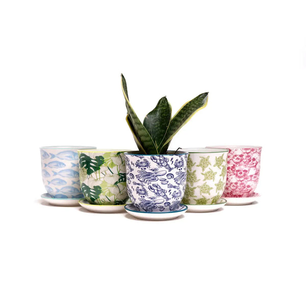 CHIVE  Planter Red Birds Porcelain Liberte / 3.25"