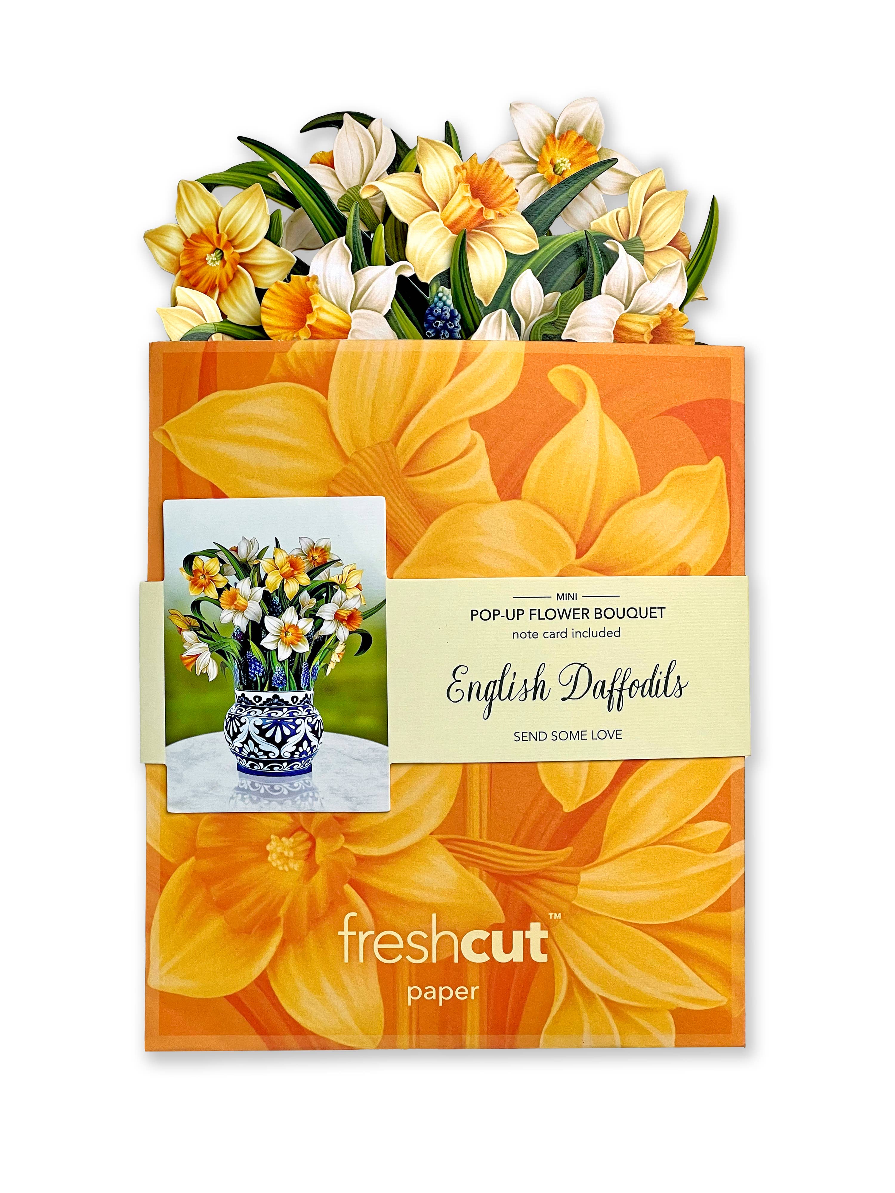 PFB Mini English Daffodils