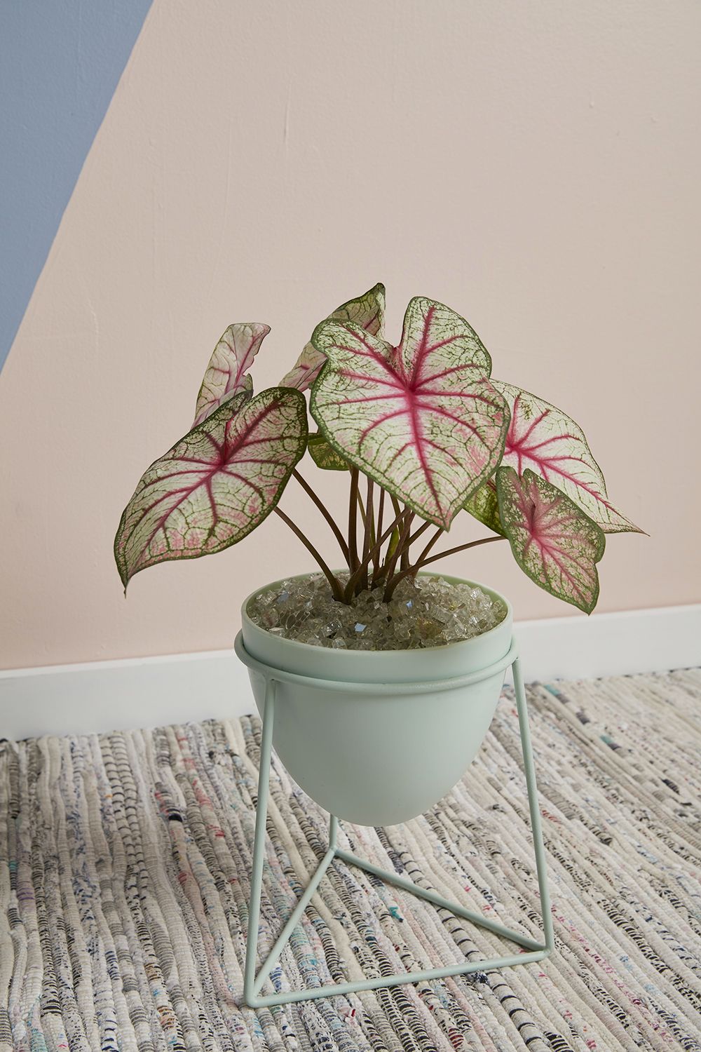 AD Plant Stand Kelly Mint