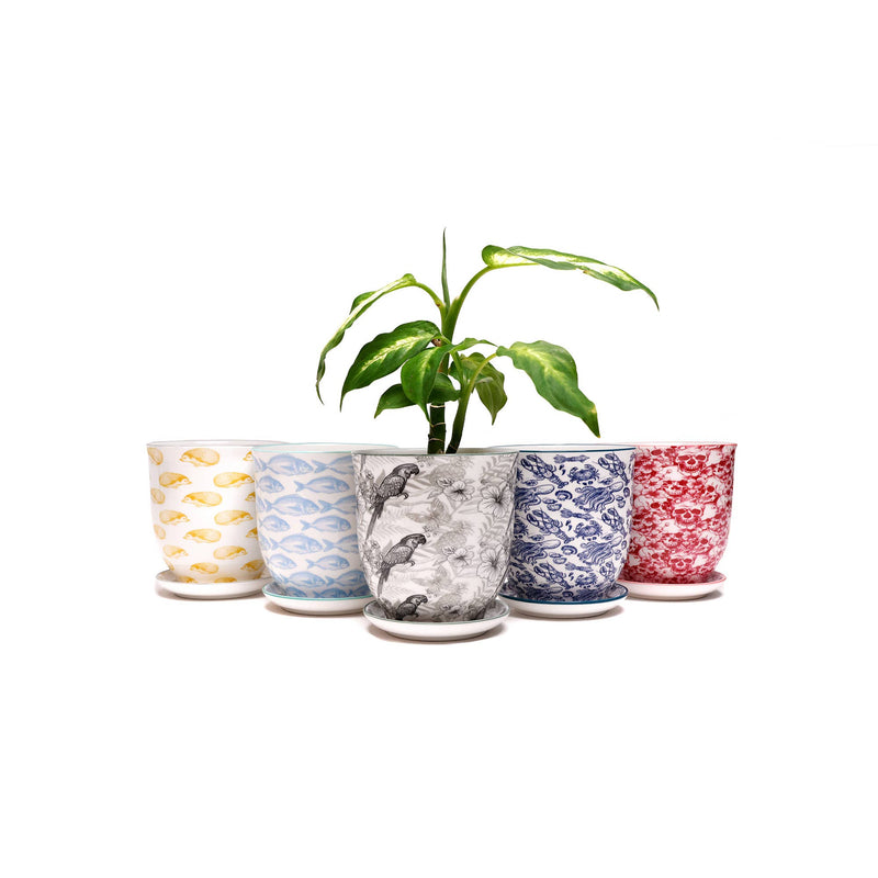 CHIVE Planter Monstera Porcelain Liberte / 4.25"