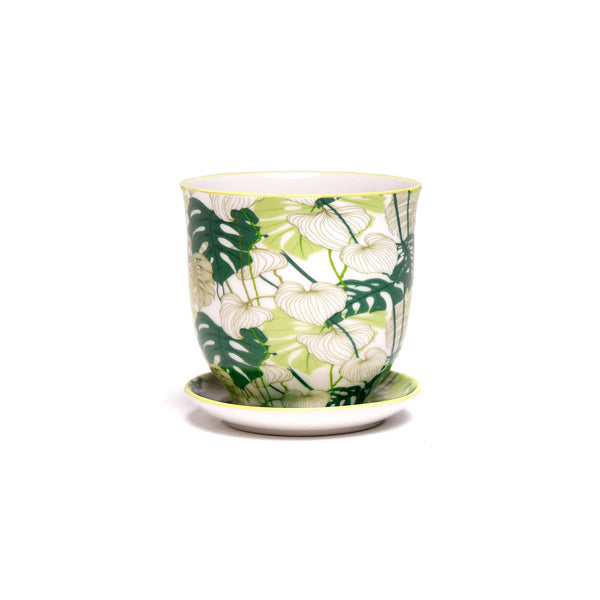 CHIVE Planter Monstera Porcelain Liberte / 3.25"