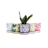 CHIVE Planter Monstera Porcelain Liberte / 4.25"