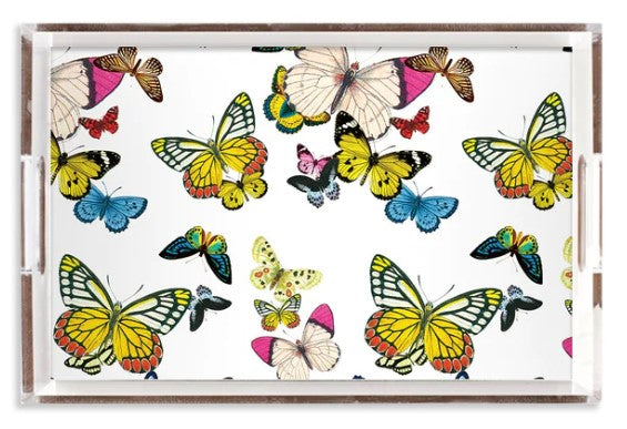 Tray Metamorphosis Lucite